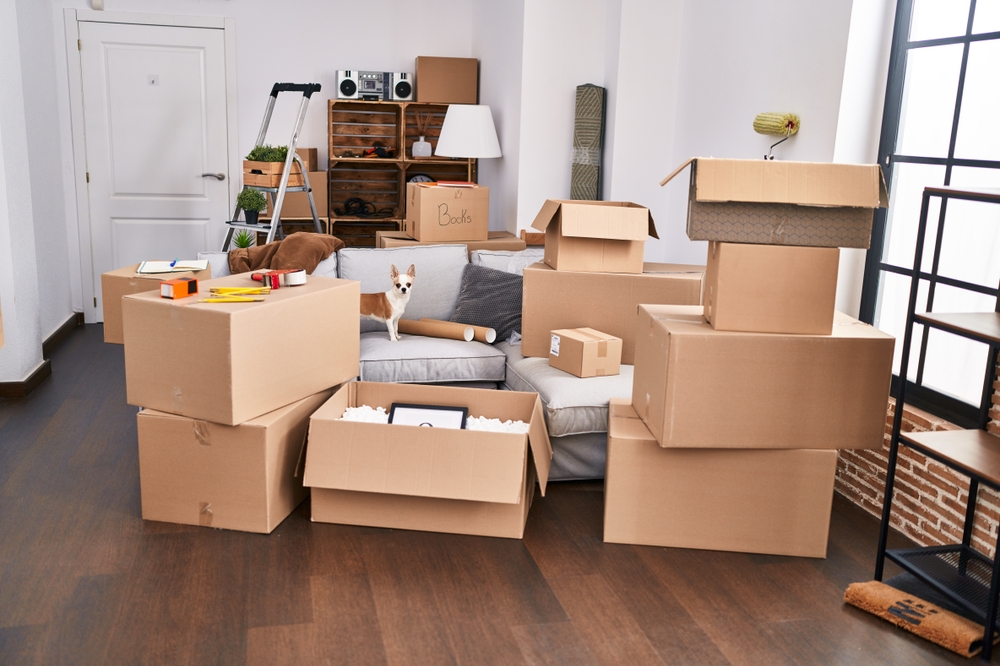 Cardboard,Boxes,Piled,In,An,Apartment,,Indicating,Moving,Day,With